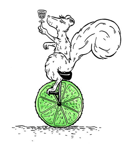 Illustration of a squirrel riding a unicycle made of lime